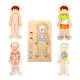 Puzzle drewniane z małą stopą Anatomia Tim, small foot